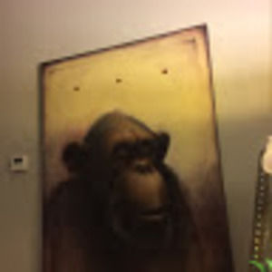 Meet your Posher, Lynne